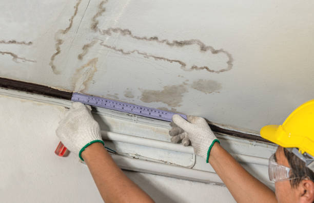 Reliable Structural Drying contractor in Attica, MI by Water Damage Irwin